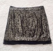 Black and Silver Sequin Miniskirt