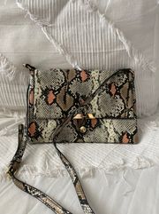 Snake Skin Purse