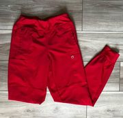 Wonder wink jogger scrub pants