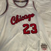 Micheal  Jersey #23 RARE 1984-1985