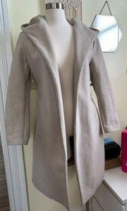 Zara Taupe Coat