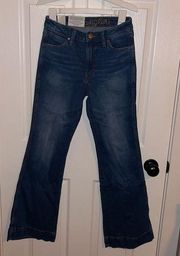 NWT  Retro High Rise Trouser Jean