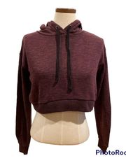 Essentials by  Crop Hoodie Sweatshirt