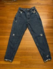 Vintage  Basics Distressed Blue High Waisted Ankle Zip Jeans, size 29”