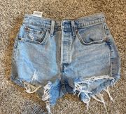 Levi 501 Jean Shorts 