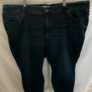 Lane Bryant: Flex Magic Waistband- signature fit- mid-rise skinny jeans- sz 26 s