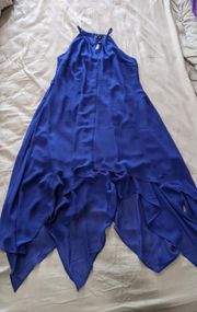 NWT  Royal Blue Dress