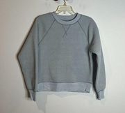 Everlane The ReNew Fleece Raglan Sweatshirt in Smoke