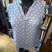 41Hawthorn Stitchfix split neck polka dot business casual blouse