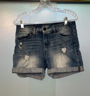 Time And Tru Denim Shorts