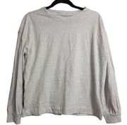 Everlane Organic Cotton Oversized Long Sleeve Tee Heather Gray Crewneck M New