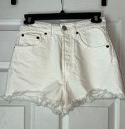 ZARA Denim Shorts