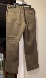 Ladies Sz 10 P brown pants by
