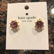 Kate Spade NWT  Flying Colors Bezel Stud Earrings in Blush Pink