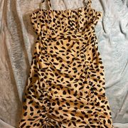 NWT pitaya leopard print dress