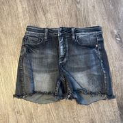 High Rise Denim Shorts