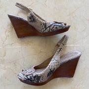 Jack Rogers Size 8.5 Snakeskin Wooden Wedges