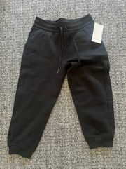 NWT  scuba cropped joggers HR