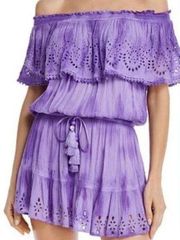 Gorgeous purple cover-up or dress.