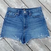 Urban Outfitters BDG size 27 Girlfriend High-rise denim cut off jean shorts