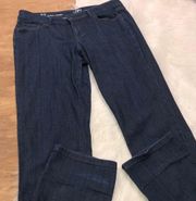 Ann Taylor LOFT factory 12 modern straight jeans