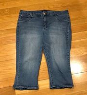 D.jeans capris jeans size 20W.