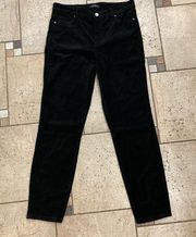 NWT Well Worn Ladies High-Rise Velvet Tapered Pants