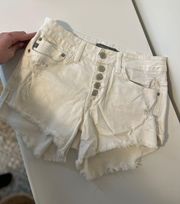 Boutique Shorts