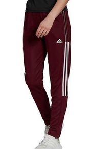 Adidas  Maroon Tiro 21 Track Pants Sz M