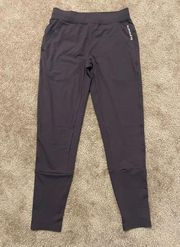 Women’s Alphalete Gray Jogger Leggings Size S