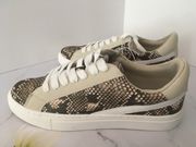 Snake Print Sneakers, Size 9