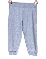 Under Armour Loose Fit Jogger Sweatpants Gray Women’s Size Medium