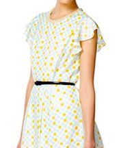 Jason Wu x Target Retro Wheel Print Pearl Neckline Dress Size 2