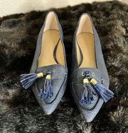 Ann Taylor Evan Raffia pointed toe flats Sz 8