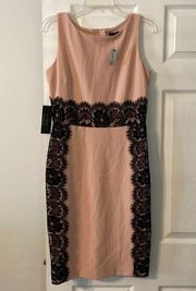 The Limited Women’s Dress size beautiful and new with tag size 6