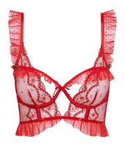 For Love And Lemons Rouge Floral Lace Underwire Bustier