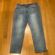 Time and tru women’s blue  light wash  straight jeans size 18 .