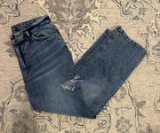 Wild Fable Jeans