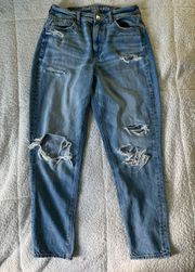 American Eagle Outfitters Mom Jeans