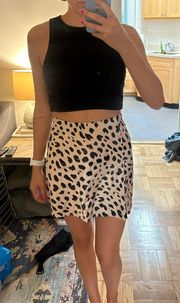 Mini Skirt