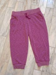 Under Armour women's small All Season Gear purple jogger sweatpants