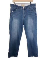 Democracy Ab Technology Plus Size Distressed Jeans