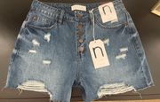Denim High Waisted Jean Shorts
