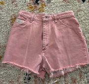 Vintage Shorts