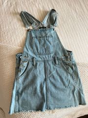 Skirt Overalls