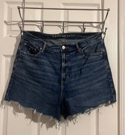 American Eagle AE Shorts