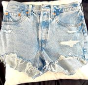 Jean Cut Off Shorts