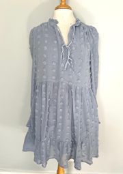 Light Blue Longsleeve Swiss Dot Maternity Dress