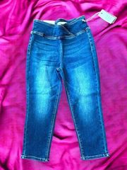 Risen jeans high rise cross over waist size 5/27