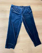 Blue Velvet Cropped Pants 